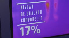 poster-28943-sports-experts-le-rabais-thermique-236x132