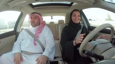 poster-29084-she-drives-236x132
