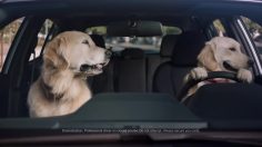poster-29119-subaru-ascent-driving-lesson-236x132