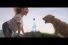 poster-29219-perrier-fines-bulles-le-lionceau-68x45