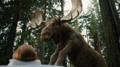 coolsculpting-moose-spa-culture-pub-236x132