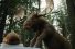 coolsculpting-moose-spa-culture-pub-68x45