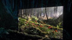poster-29411-sony-bravia-oled-window-into-daytime-236x132