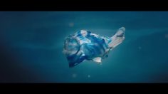 poster-29451-greenpeace-ocean-of-the-future-236x132