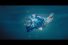 poster-29451-greenpeace-ocean-of-the-future-68x45