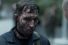 63668_001_preview-68x45