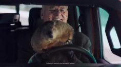 poster-31225-jeep-groundhog-day-236x132