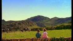 poster-31487-kiri-les-vaches-236x132