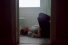 poster-31540-libresse-womb-stories-68x45