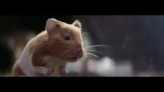 64738_preview-236x132