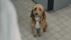 Capture-d’écran-2022-08-31-171142-236x132