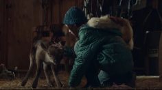 Capture-d’écran-2022-12-13-152733-236x132