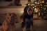 Capture-d’écran-2024-12-12-100931-68x45